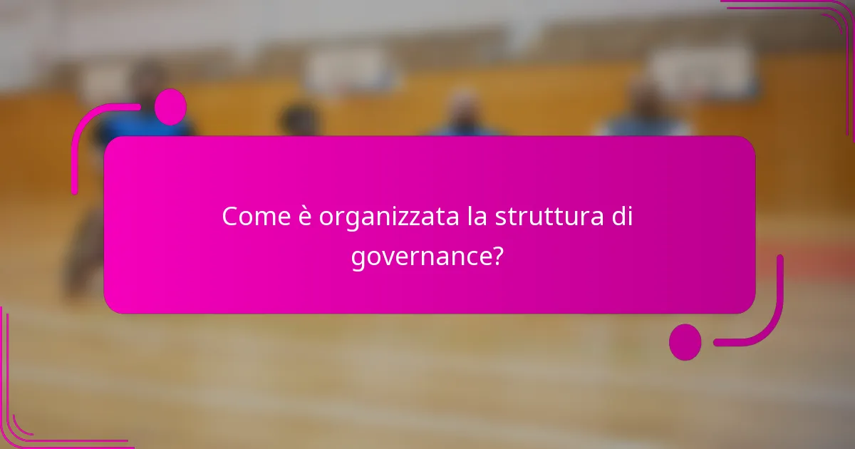 Come è organizzata la struttura di governance?