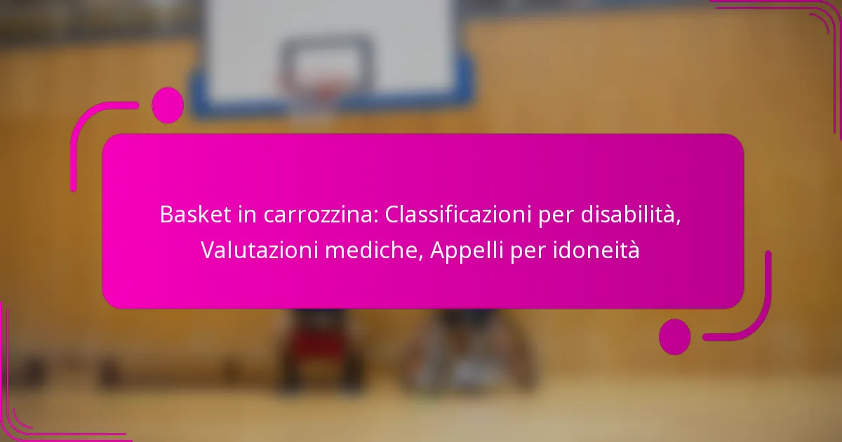 Basket in carrozzina: Classificazioni per disabilità, Valutazioni mediche, Appelli per idoneità