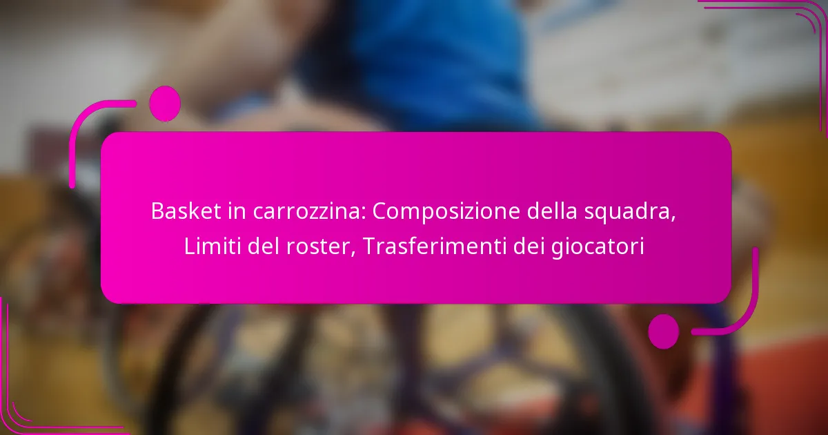 Basket in carrozzina: Composizione della squadra, Limiti del roster, Trasferimenti dei giocatori