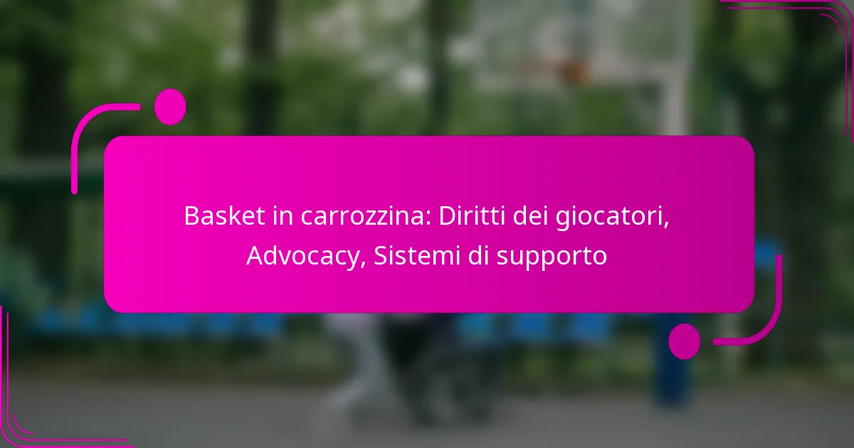 Basket in carrozzina: Diritti dei giocatori, Advocacy, Sistemi di supporto