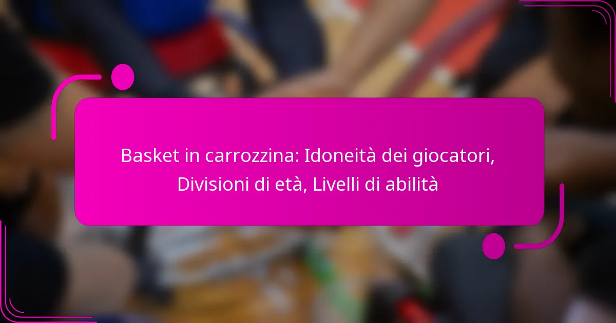 Basket in carrozzina: Idoneità dei giocatori, Divisioni di età, Livelli di abilità