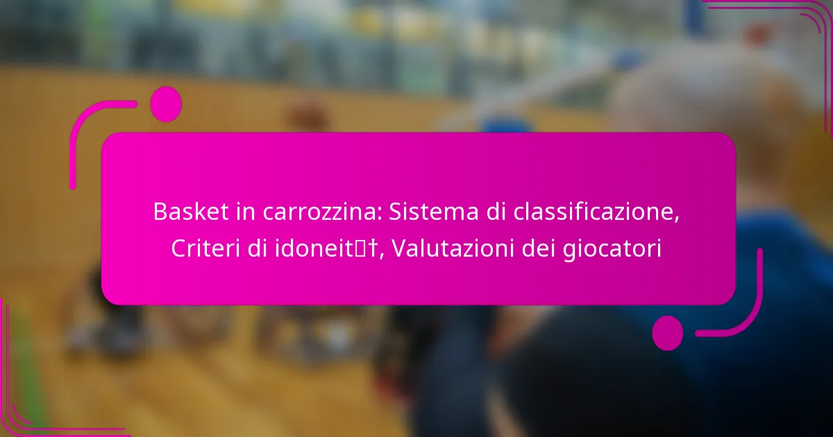 Basket in carrozzina: Sistema di classificazione, Criteri di idoneità, Valutazioni dei giocatori