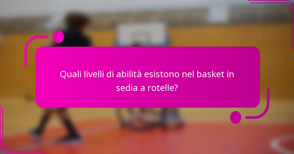 Quali livelli di abilità esistono nel basket in sedia a rotelle?