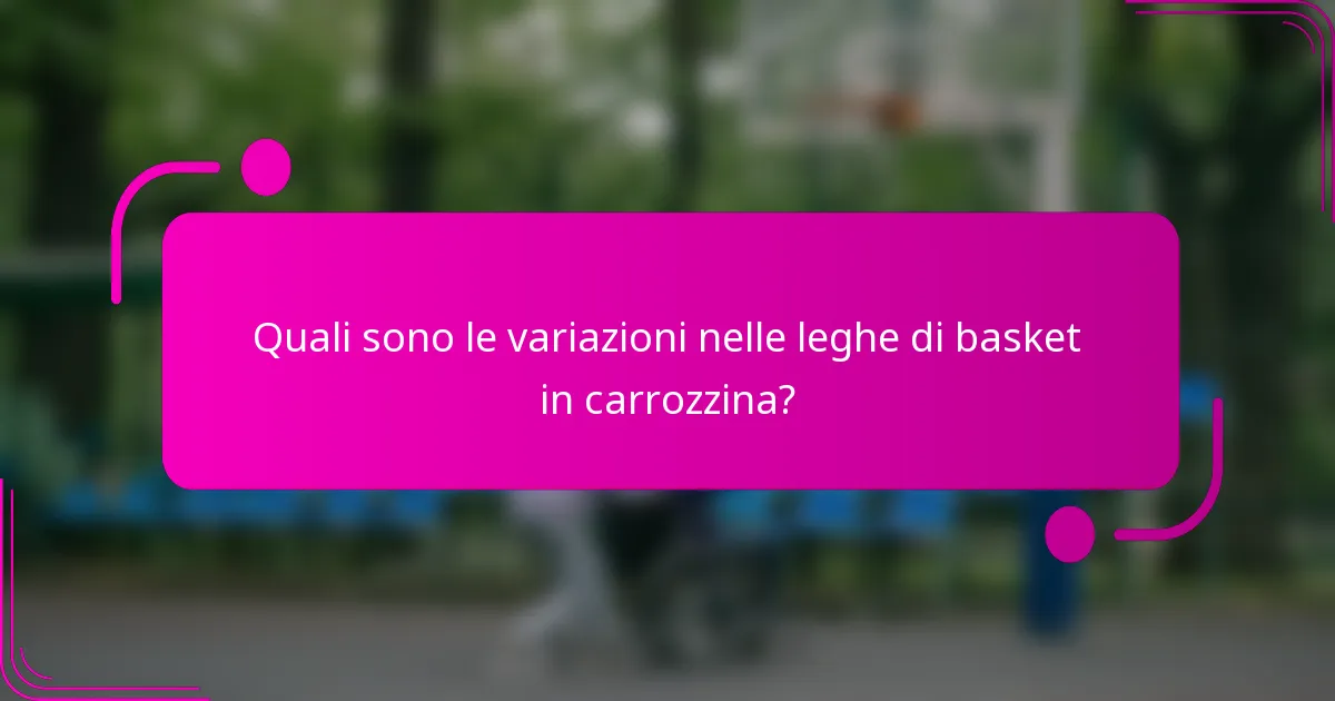 Quali sono le variazioni nelle leghe di basket in carrozzina?